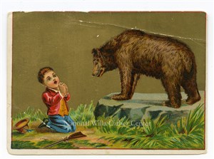 Image description is not available for PHO-264-846